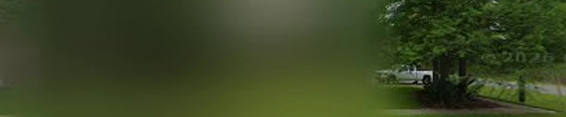 Trees R Us