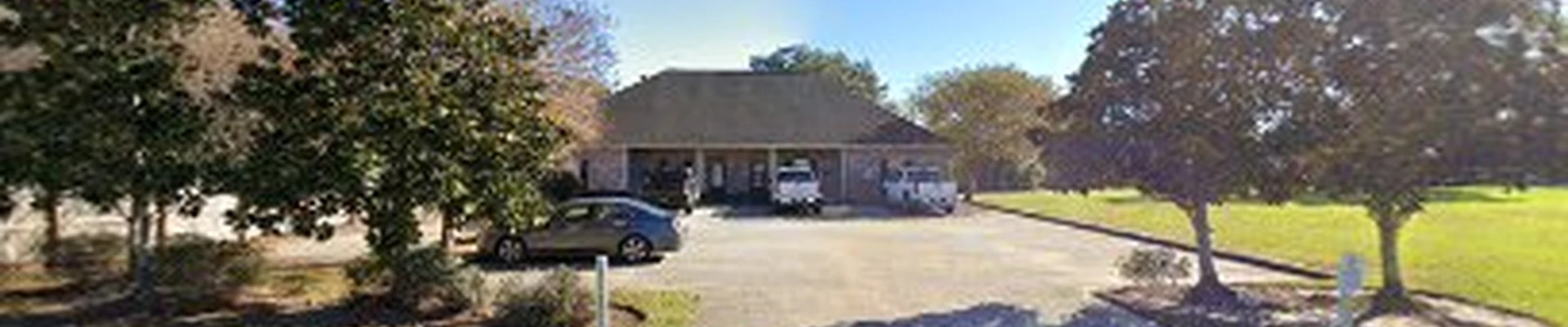 MLU Services