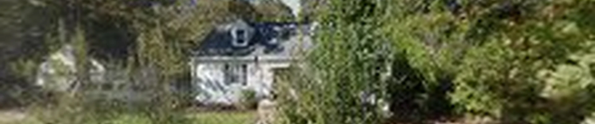 Cambium Tree Services