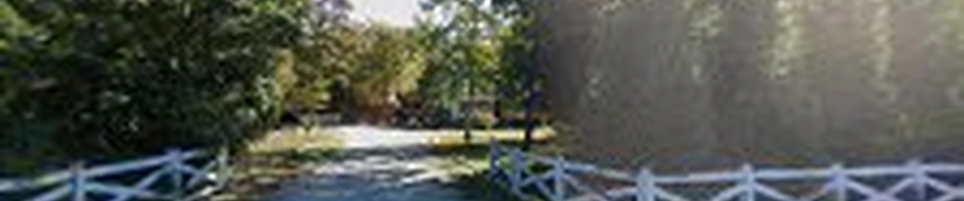 Clean Cuts Tree Service LLC