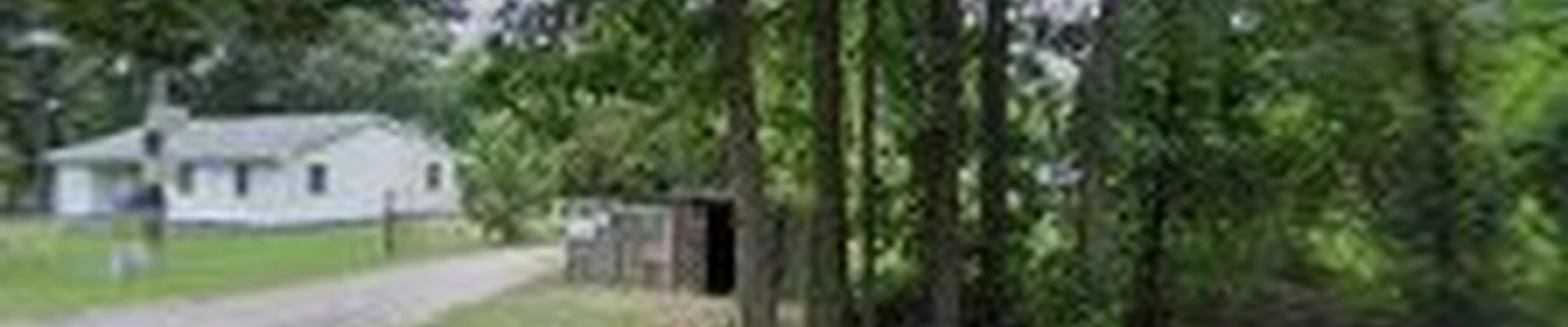Cotcamp's Tree Services