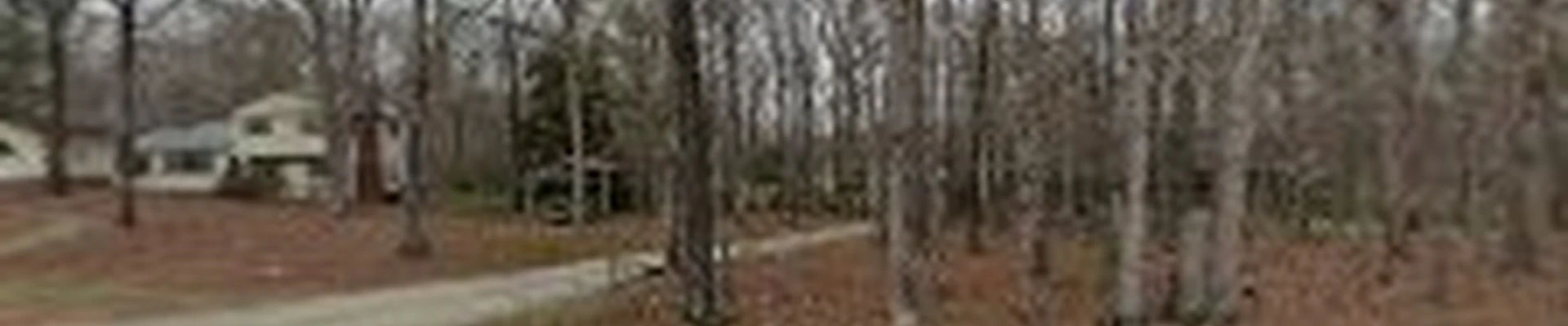 Old Dominion Tree Company