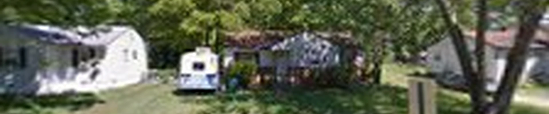 Peach Tree Services