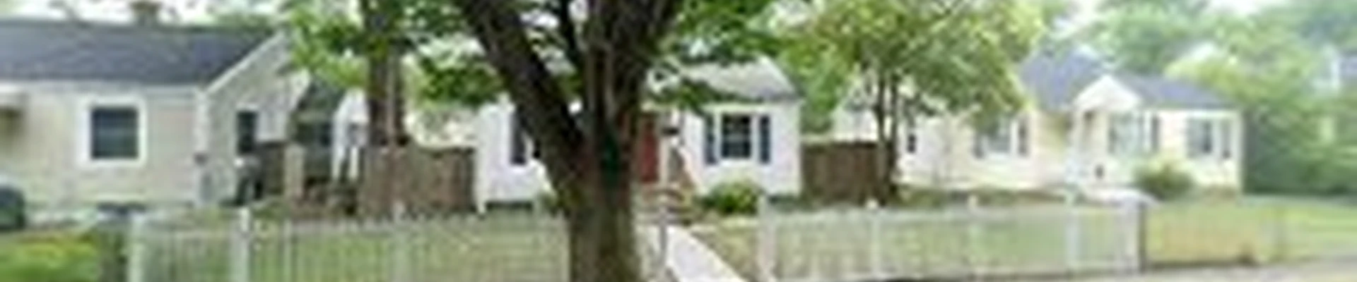 RVA Roof and Tree Services Richmond VA