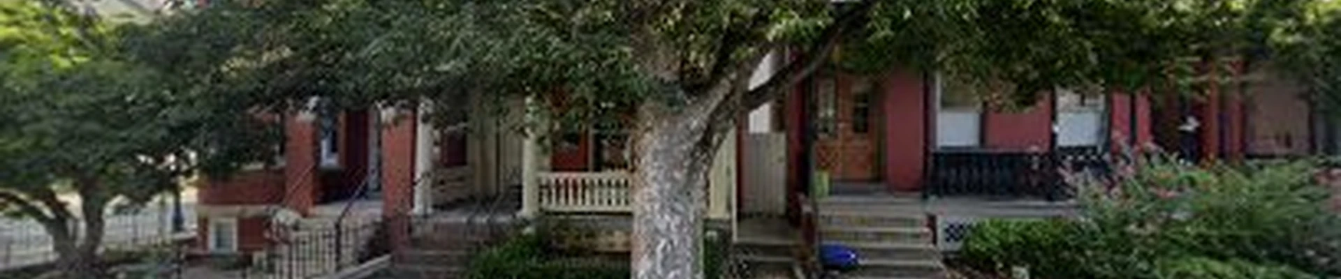 RVA Emergency Tree Removal