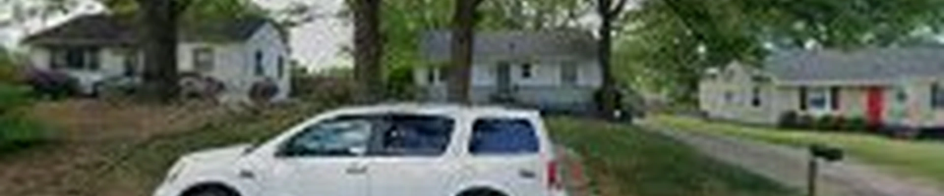 Tree service turcios