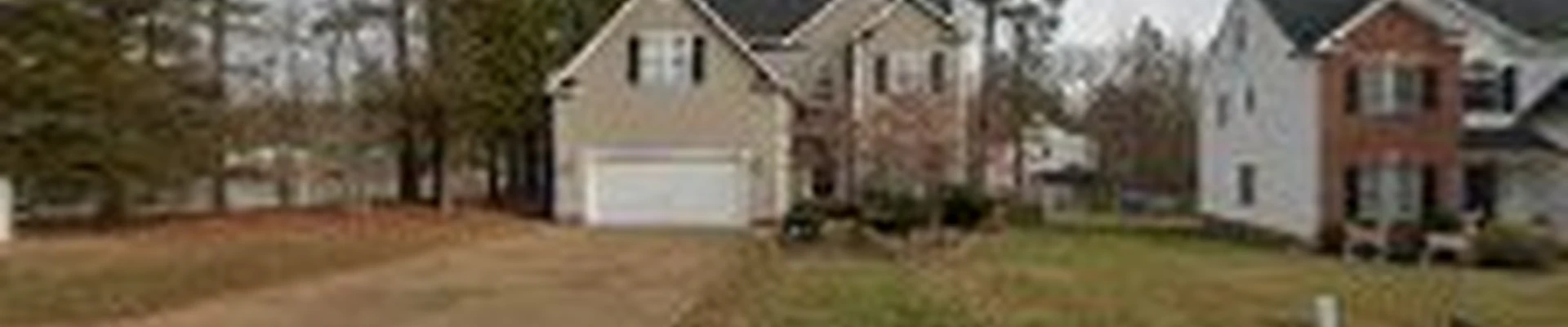 New Roots Tree Service