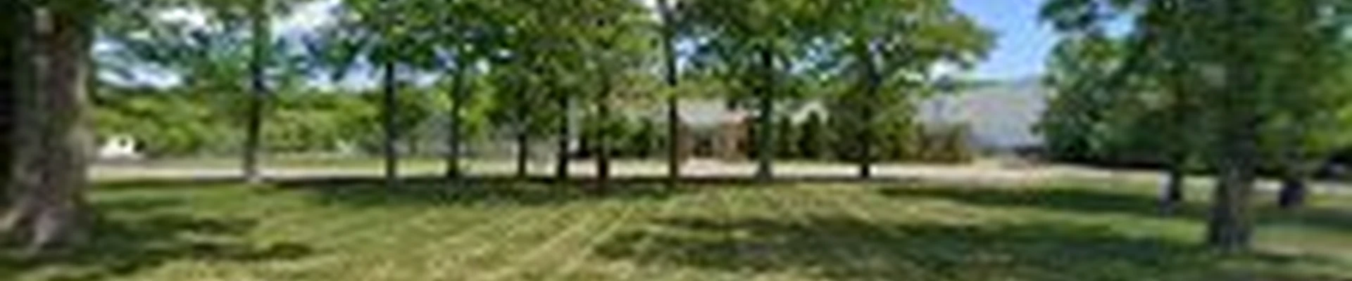 Virginia Green Lawn Care