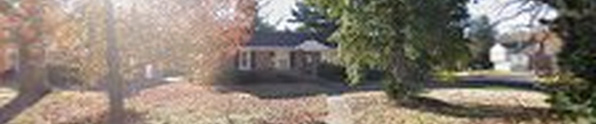 Green Jay Property Solutions