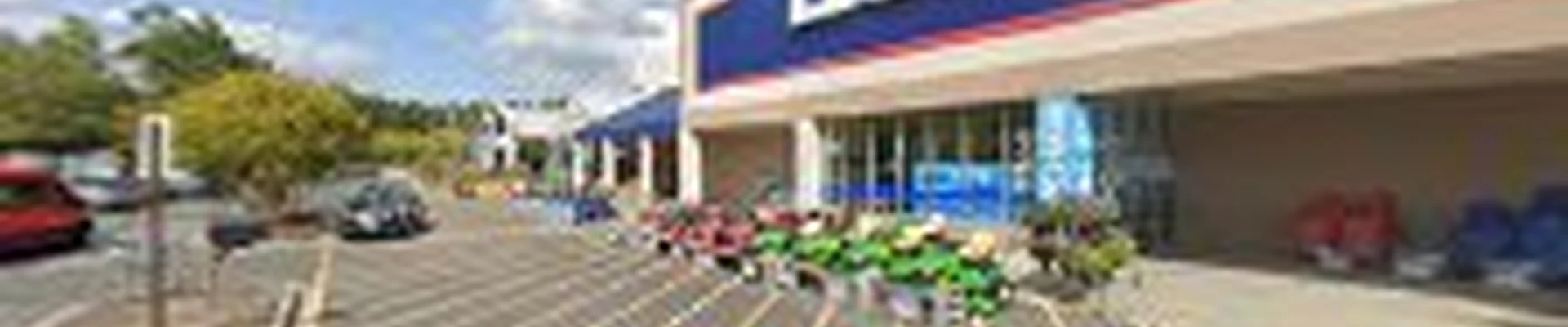 Lowe's Garden Center