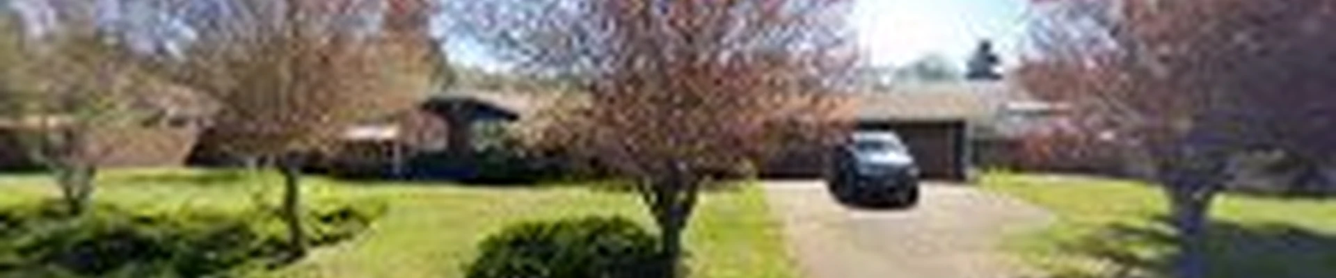 I'M IN Tree Services