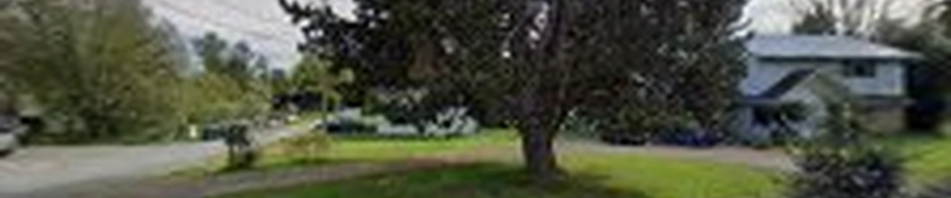 Nelson White Arborists (NW Arborists)