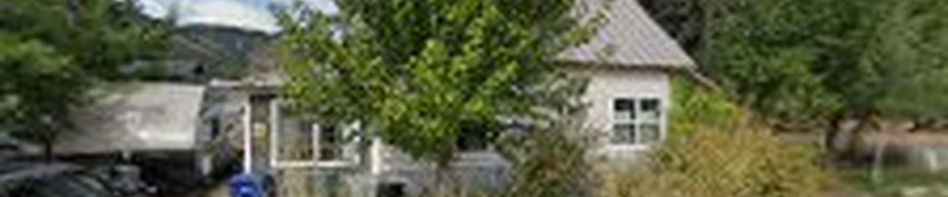 Tumwater Tree Service