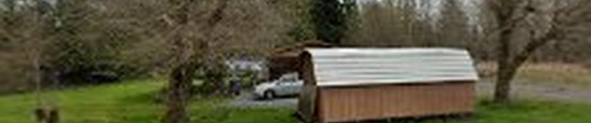 Hiebert Tree Service Inc.