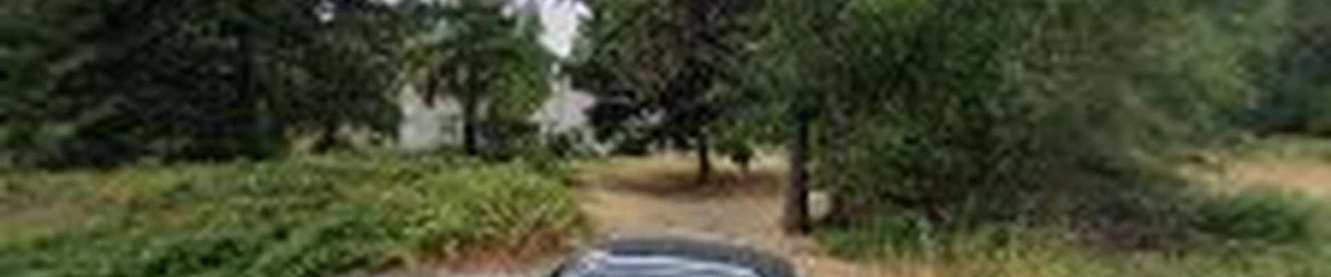 Golden Coast Tree Care Inc