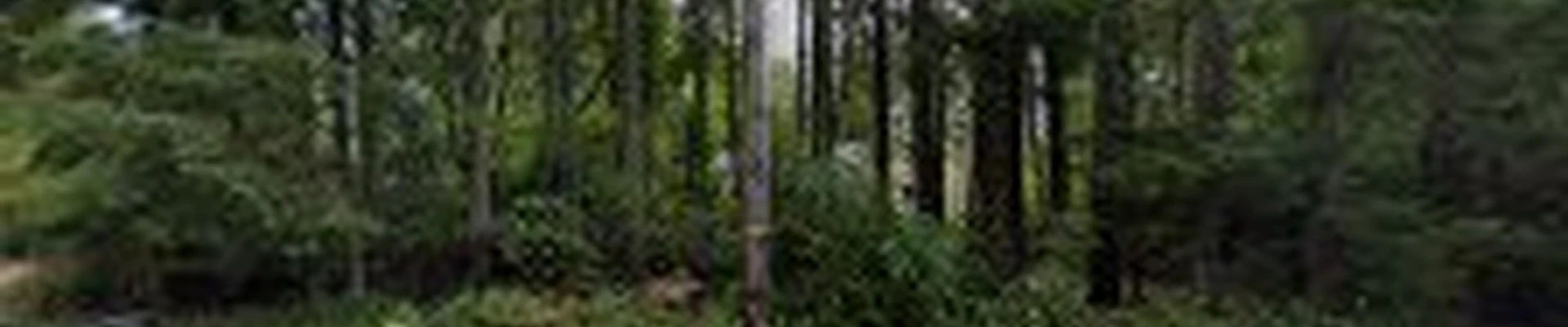 Carpenter's Land Services, LLC