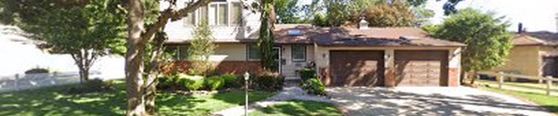 Empire State Tree & Shrub Care