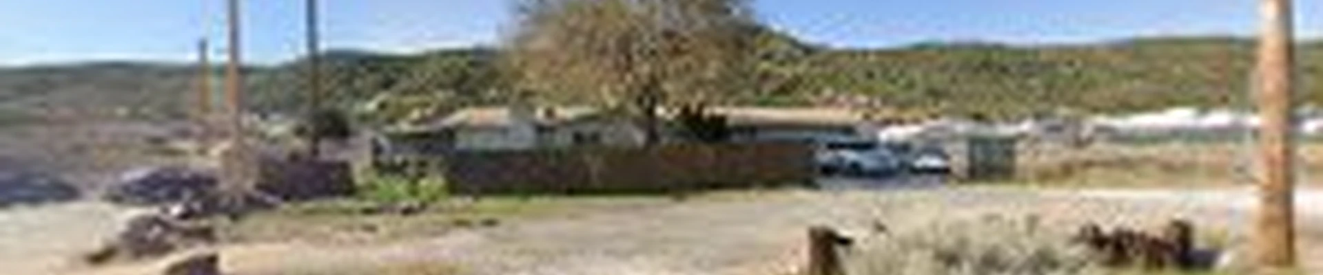 MS Tree Services & Associates LLC