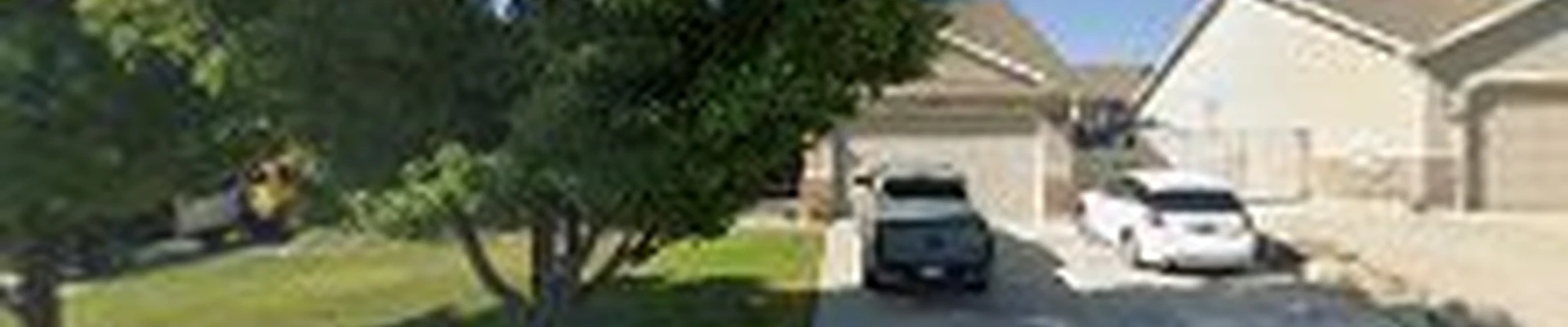 Discount Tree & Landscape Co
