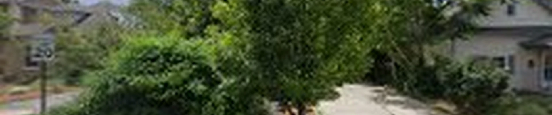 My Tree Guys, LLC