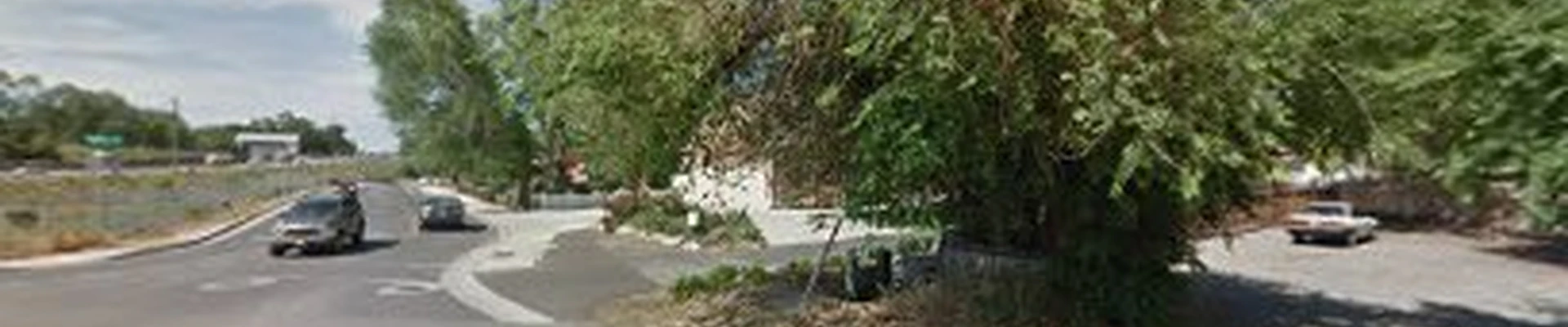 Timber Ridge Tree Service