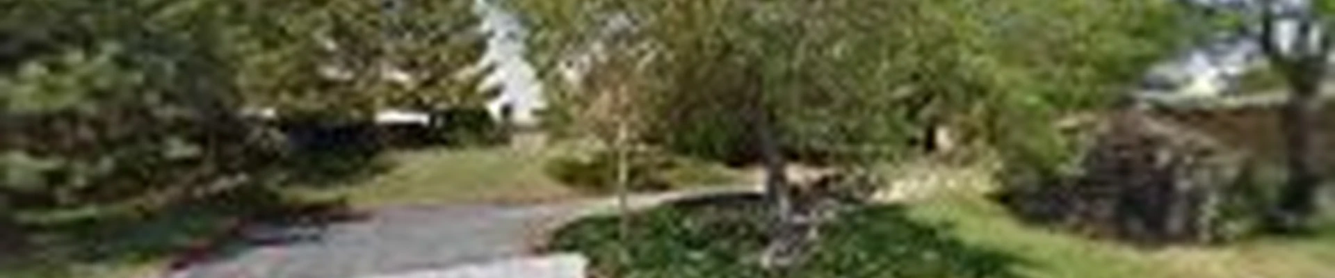 South Jordan Tree Service.