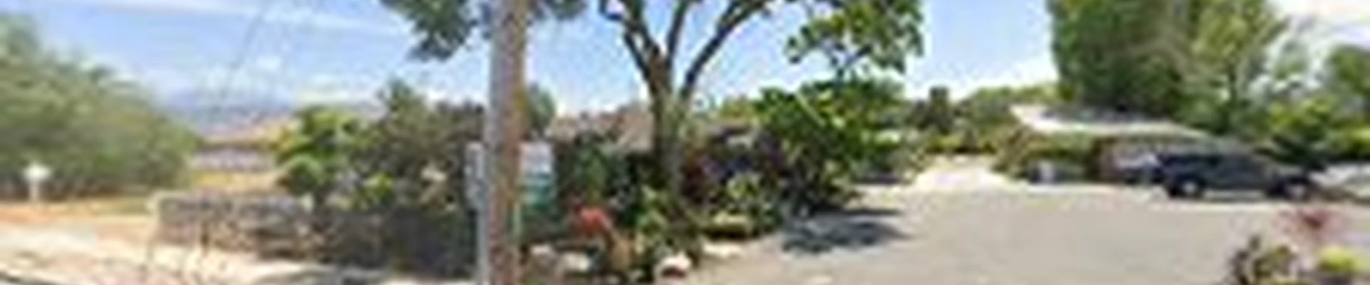 SuperTrees Services Utah