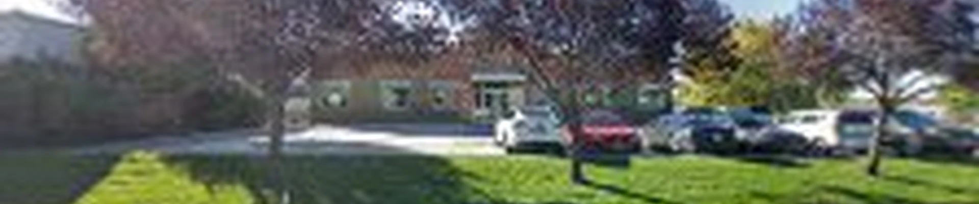 All Green Pest Control and Lawn Care