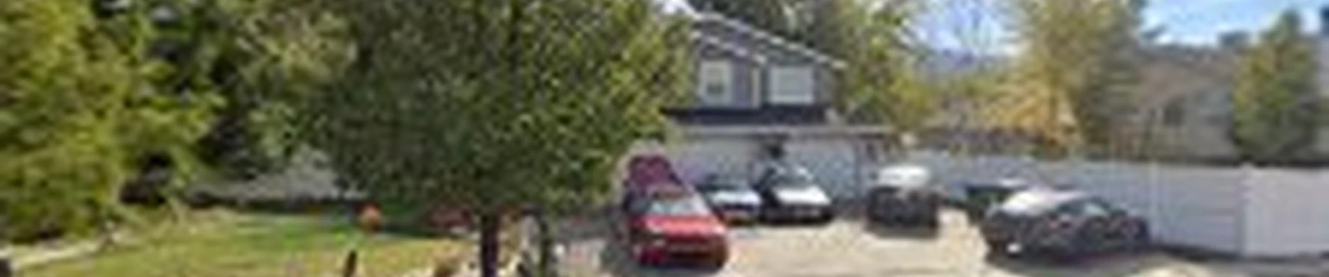 Davis & Davis Tree Care