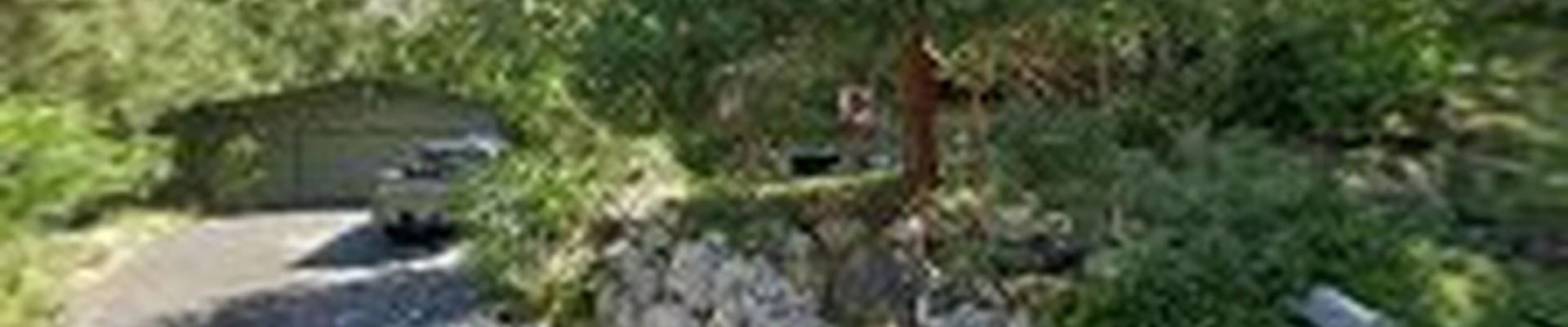 Mt Olympus Tree Service LLC