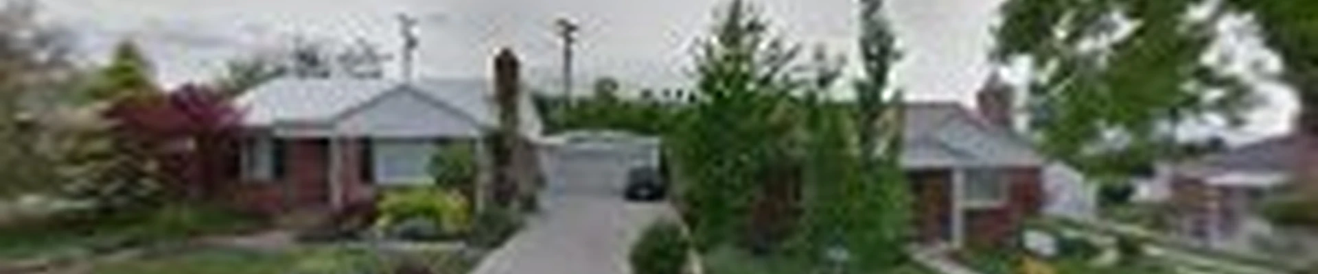 Go Green Tree Service