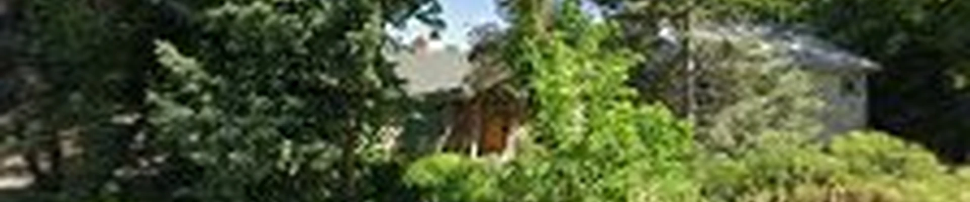 Great Basin Forestry LLC