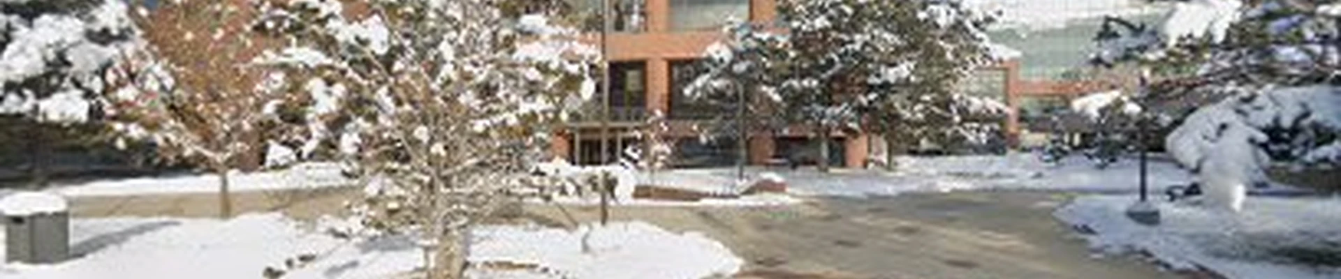 Simply Trees Utah