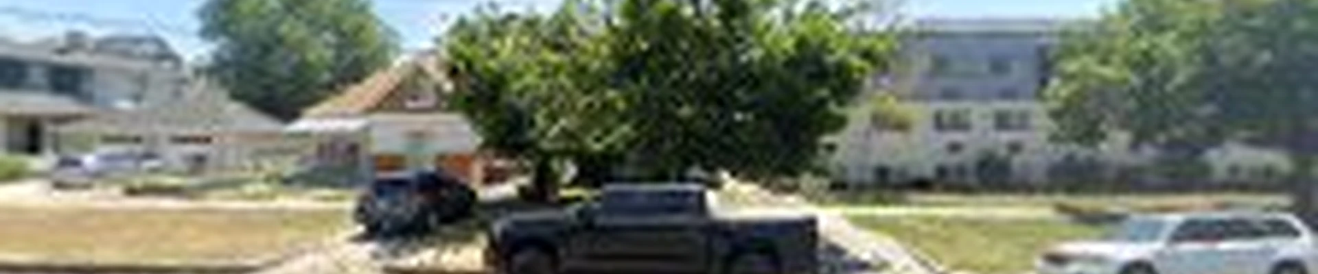 Tree Masters LLC