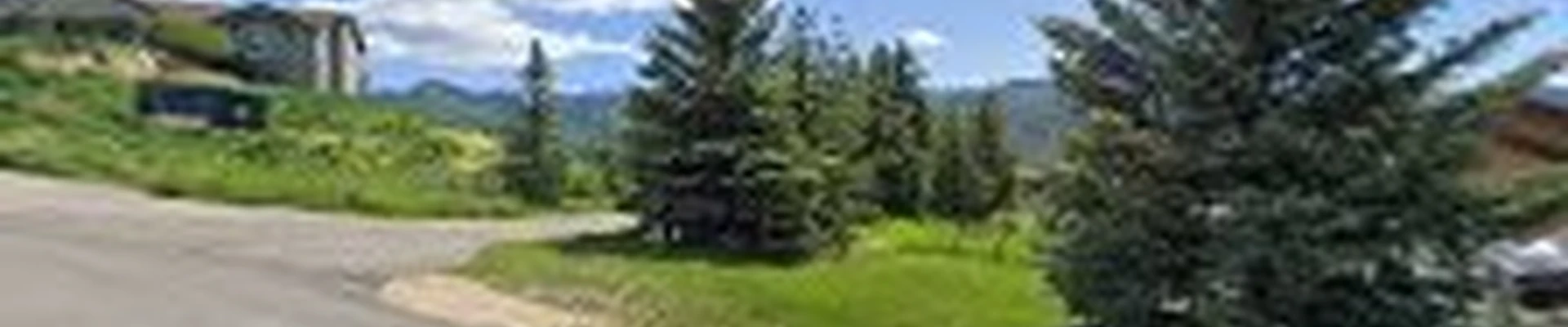 MTN View Arborists