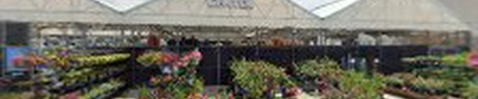 Lowe's Garden Center