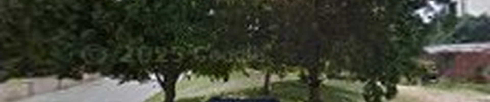 Weber Davis Tree Service