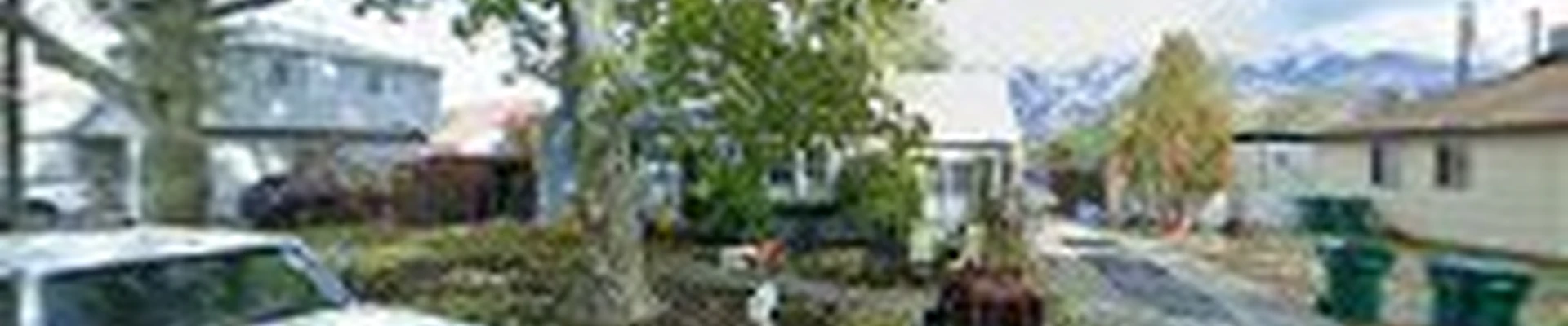 Ellison Tree Company