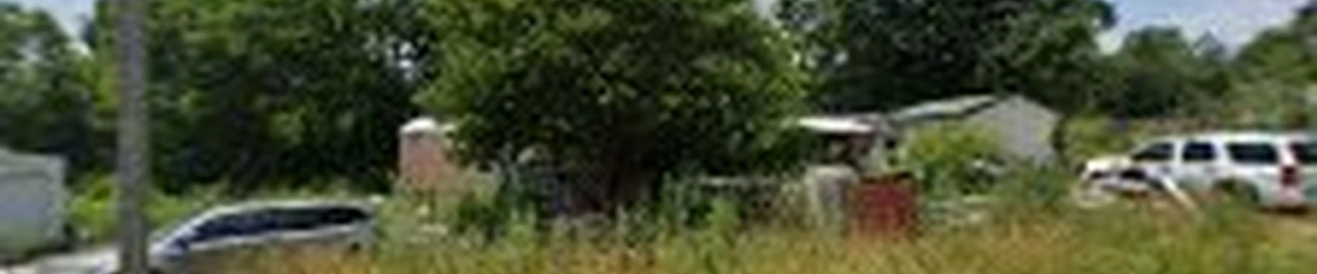 Timberwolf Tree Care