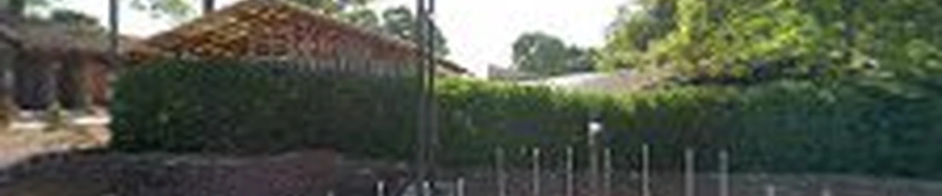 North Alabama Tree Service