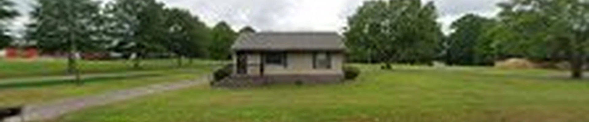 Adams and Son Tree Trimming and Removal LLC