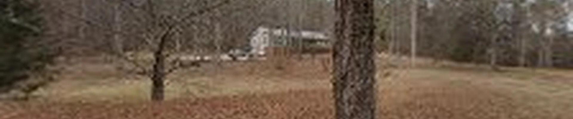 Quality Land Clearing
