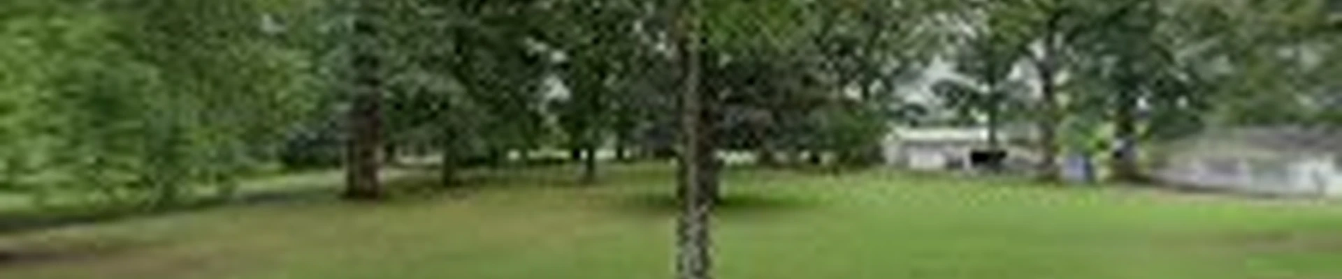 T&S Tree Services
