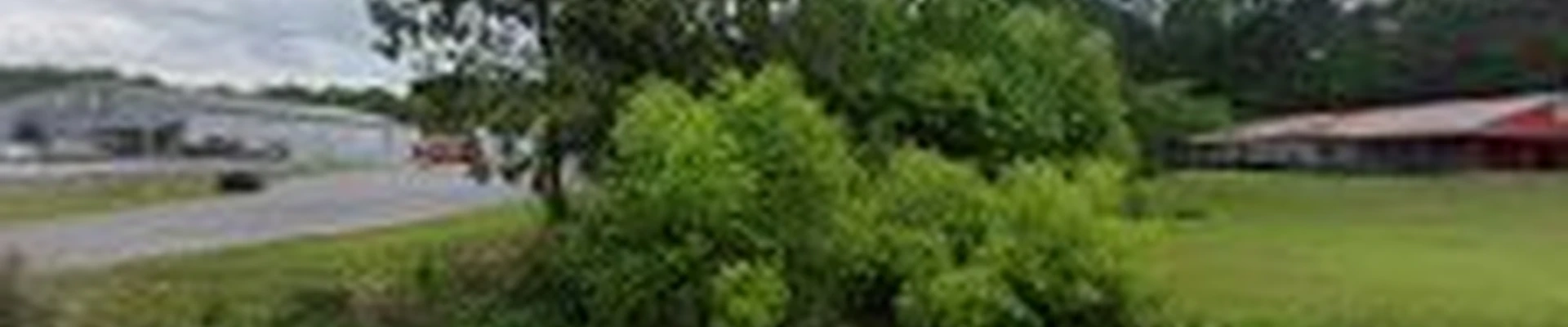 Weavers tree service