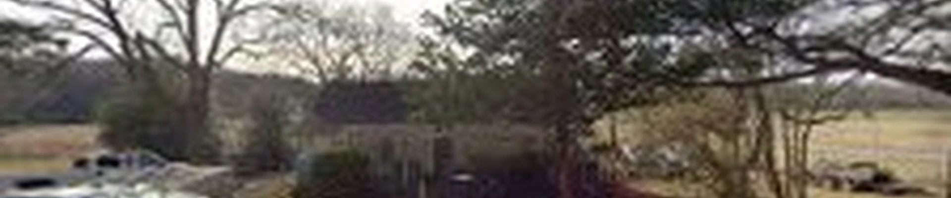 Donald Webster Tree Service llc