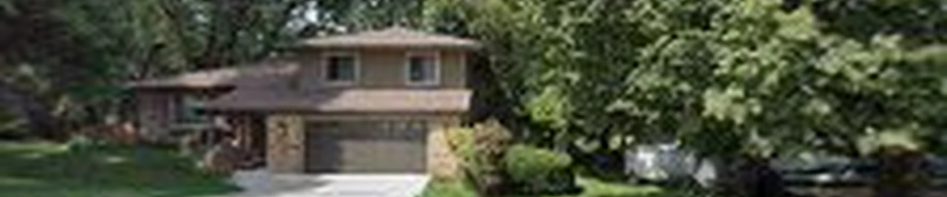 Olson Tree Care