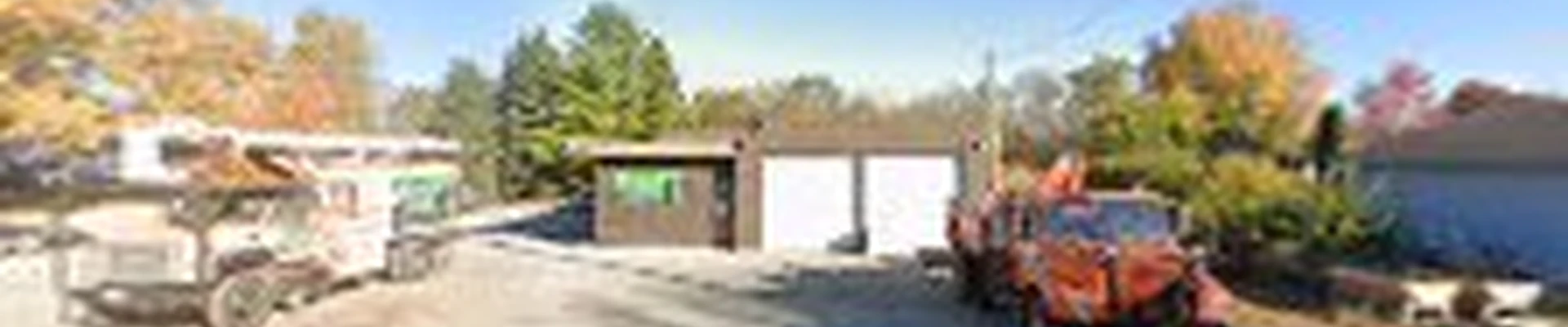 Outdoor Image Tree Care