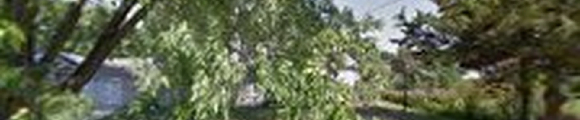Green Tree Care & Habitat Restoration