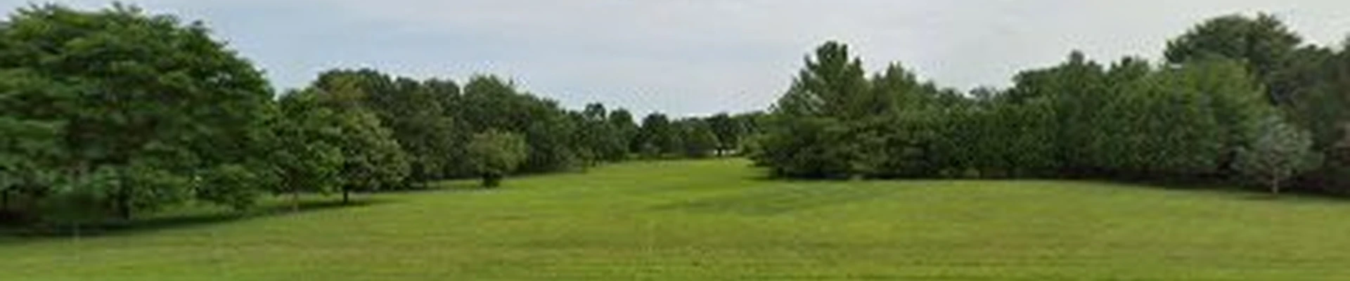 Wright Tree Care Co