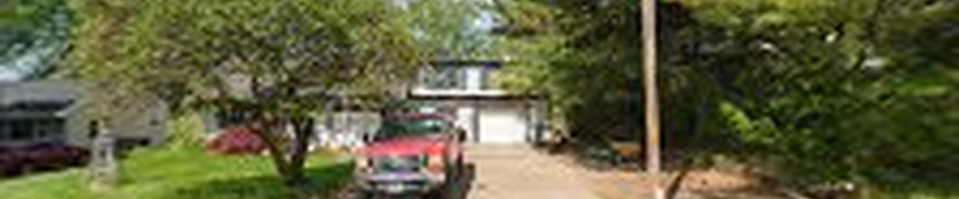 Haag Tree Service